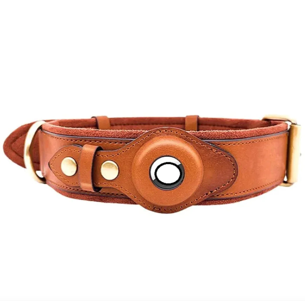 Leather Dog Collar with Location Tracker